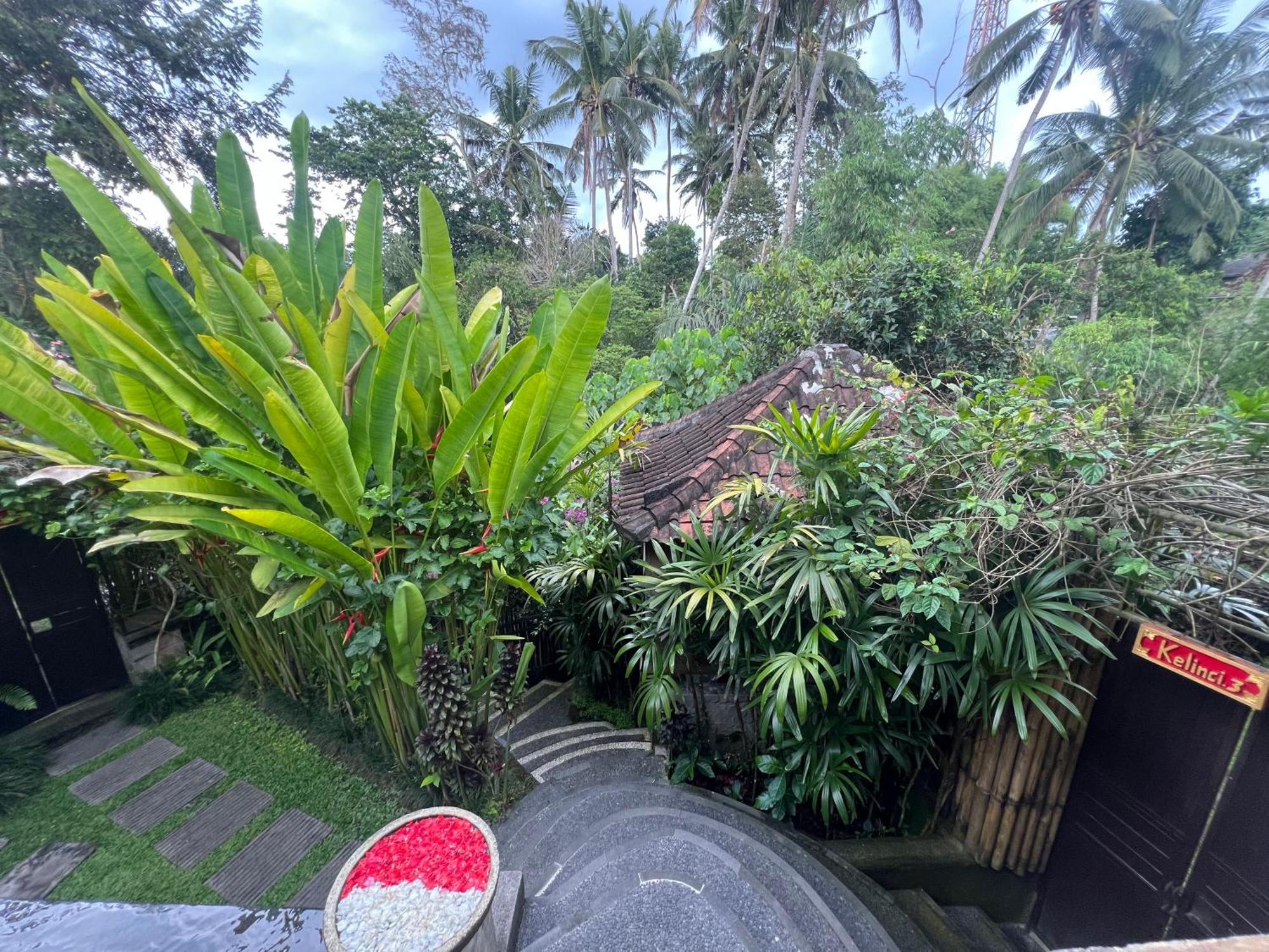 Rumah Kelinci Ubud Dış mekan fotoğraf