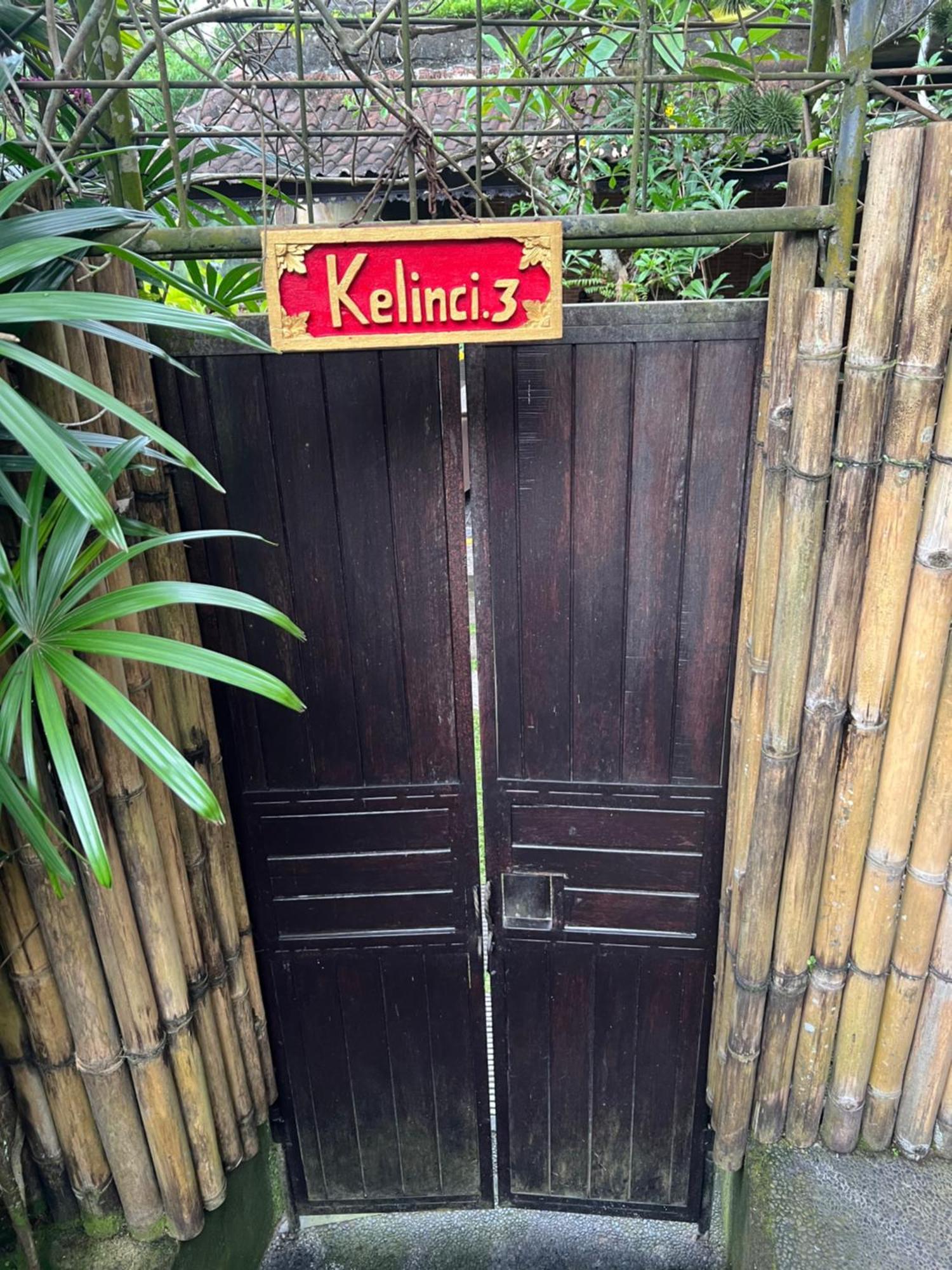 Rumah Kelinci Ubud Dış mekan fotoğraf