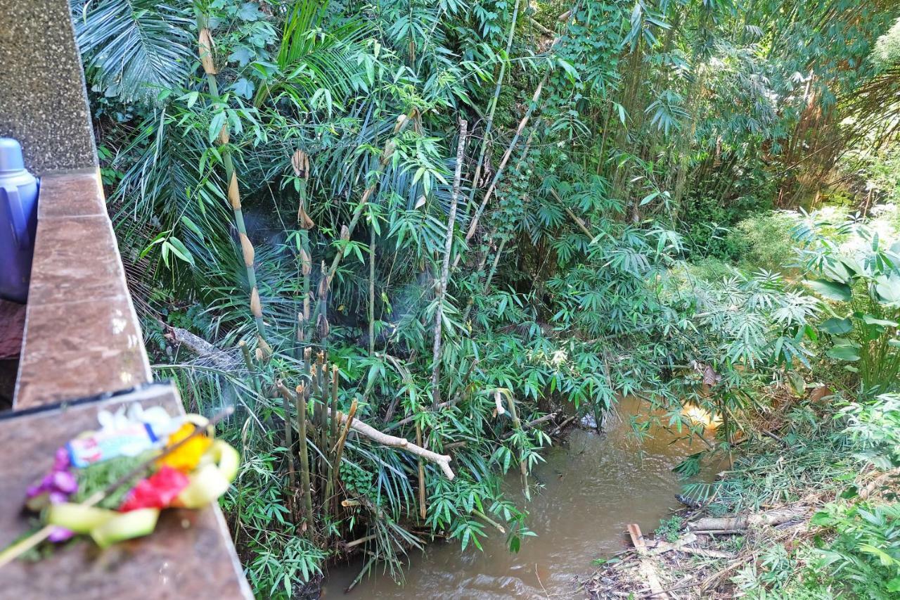 Rumah Kelinci Ubud Dış mekan fotoğraf