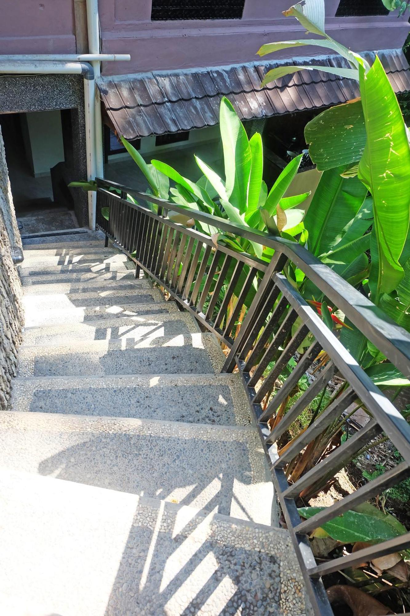 Rumah Kelinci Ubud Dış mekan fotoğraf